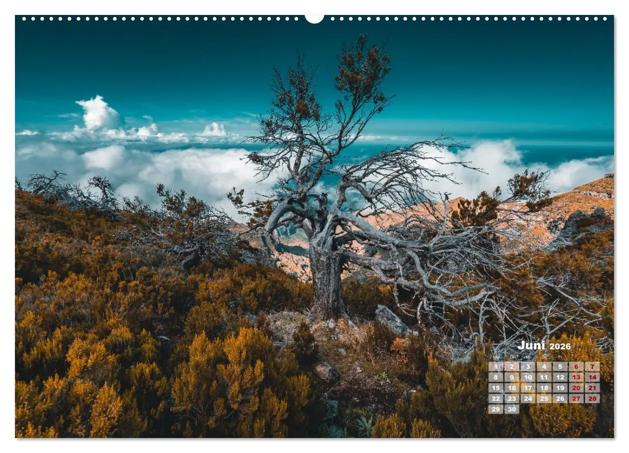 Bild: 9783457523988 | Trauminsel Madeira (hochwertiger Premium Wandkalender 2026 DIN A2...