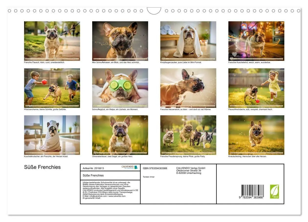 Bild: 9783594383988 | Süße Frenchies (Wandkalender 2027 DIN A3 quer), CALVENDO...