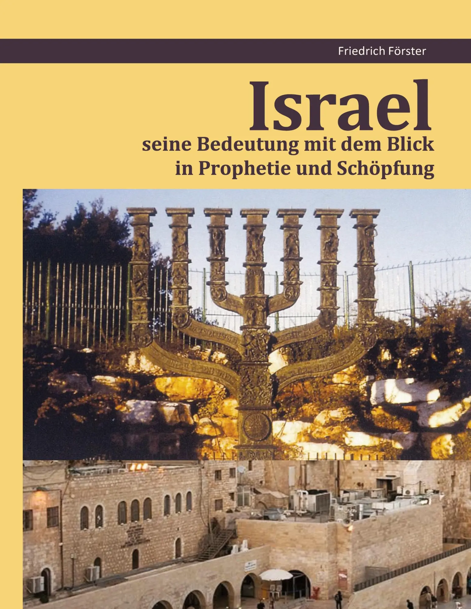 Cover: 9783695743988 | Israel seine Bedeutung mit dem Blick in Prophetie und Schöpfung | Buch