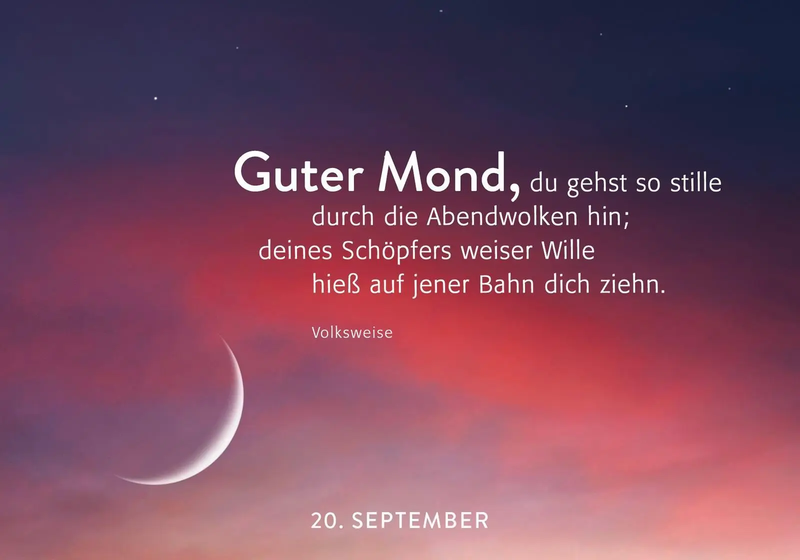 Bild: 9783848503988 | 365 Lichtmomente | Groh Verlag | Taschenbuch | 384 S. | Deutsch | 2025