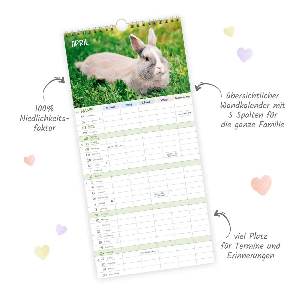 Bild: 9783988023988 | Trötsch Familienkalender Unsere Lieblinge 2026 | Wandkalender | KG