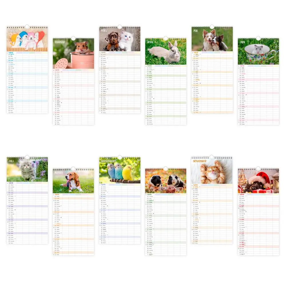 Bild: 9783988023988 | Trötsch Familienkalender Unsere Lieblinge 2026 | Wandkalender | KG
