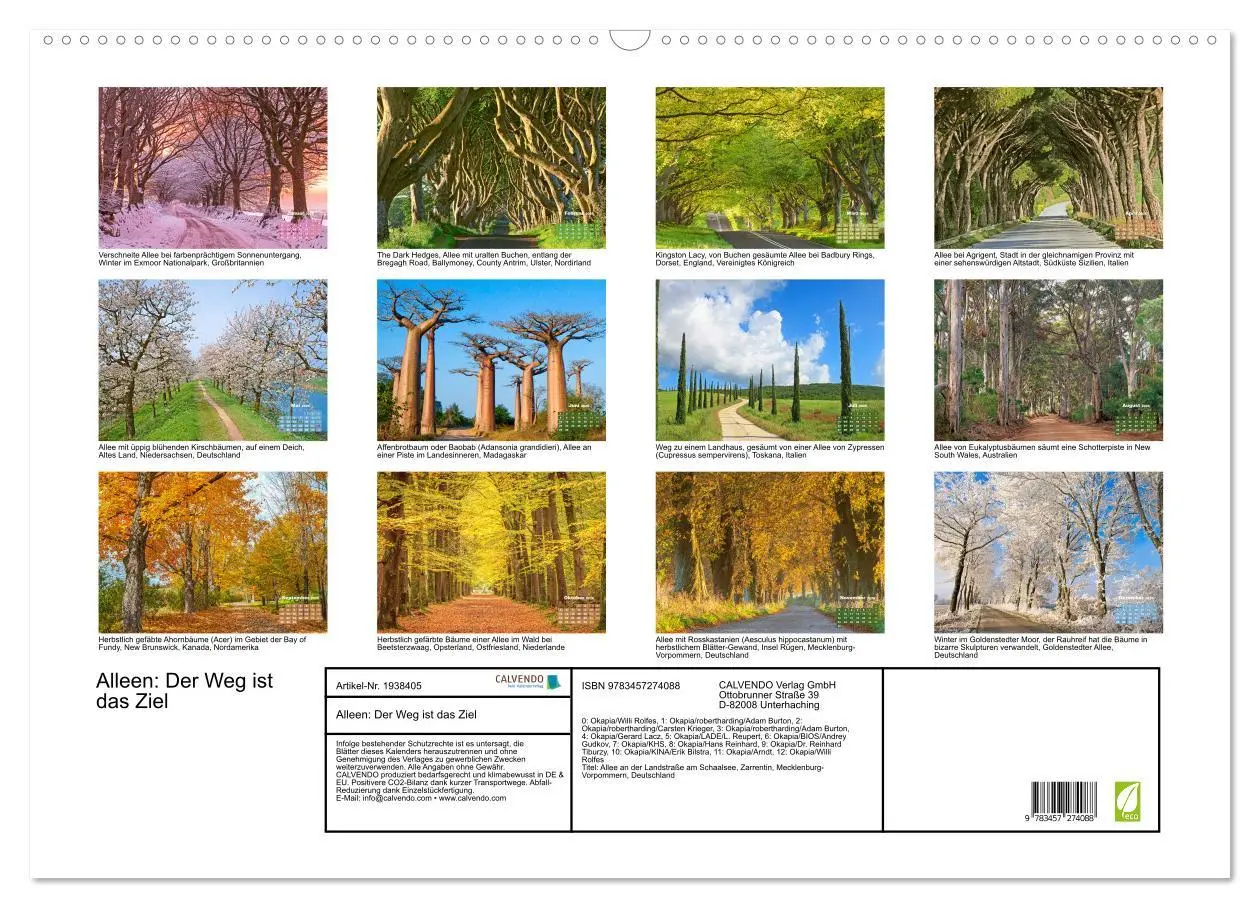 Bild: 9783457274088 | Alleen: Der Weg ist das Ziel (Wandkalender 2026 DIN A2 quer),...