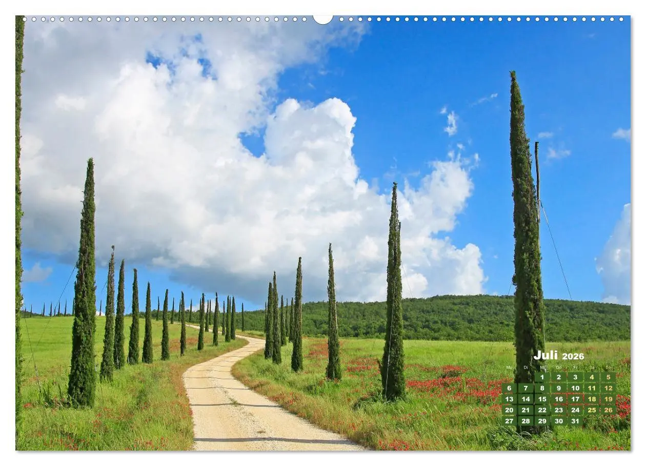 Bild: 9783457274088 | Alleen: Der Weg ist das Ziel (Wandkalender 2026 DIN A2 quer),...