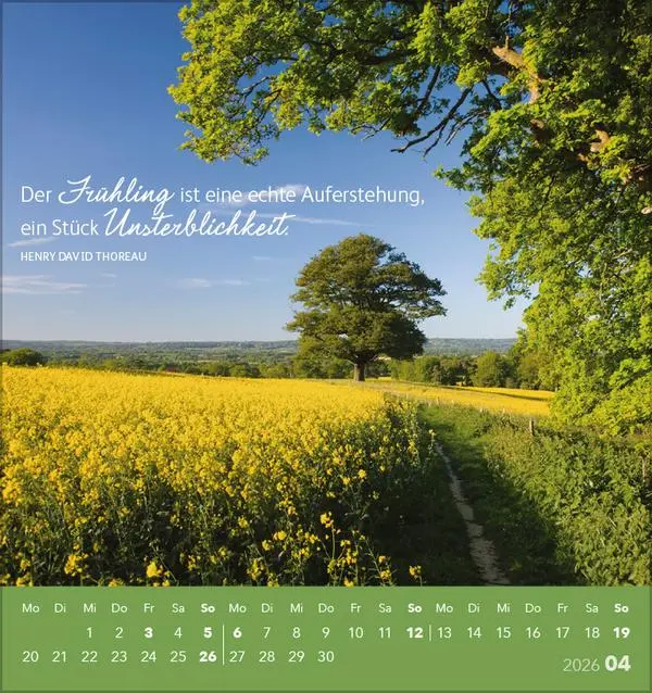 Bild: 9783731884088 | Genieße jeden Augenblick 2026 | aufstellbarer Postkartenkalender