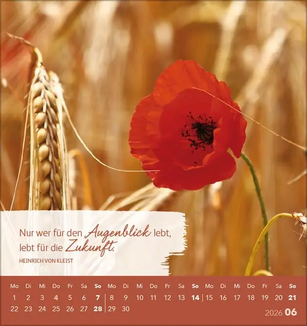 Bild: 9783731884088 | Genieße jeden Augenblick 2026 | aufstellbarer Postkartenkalender