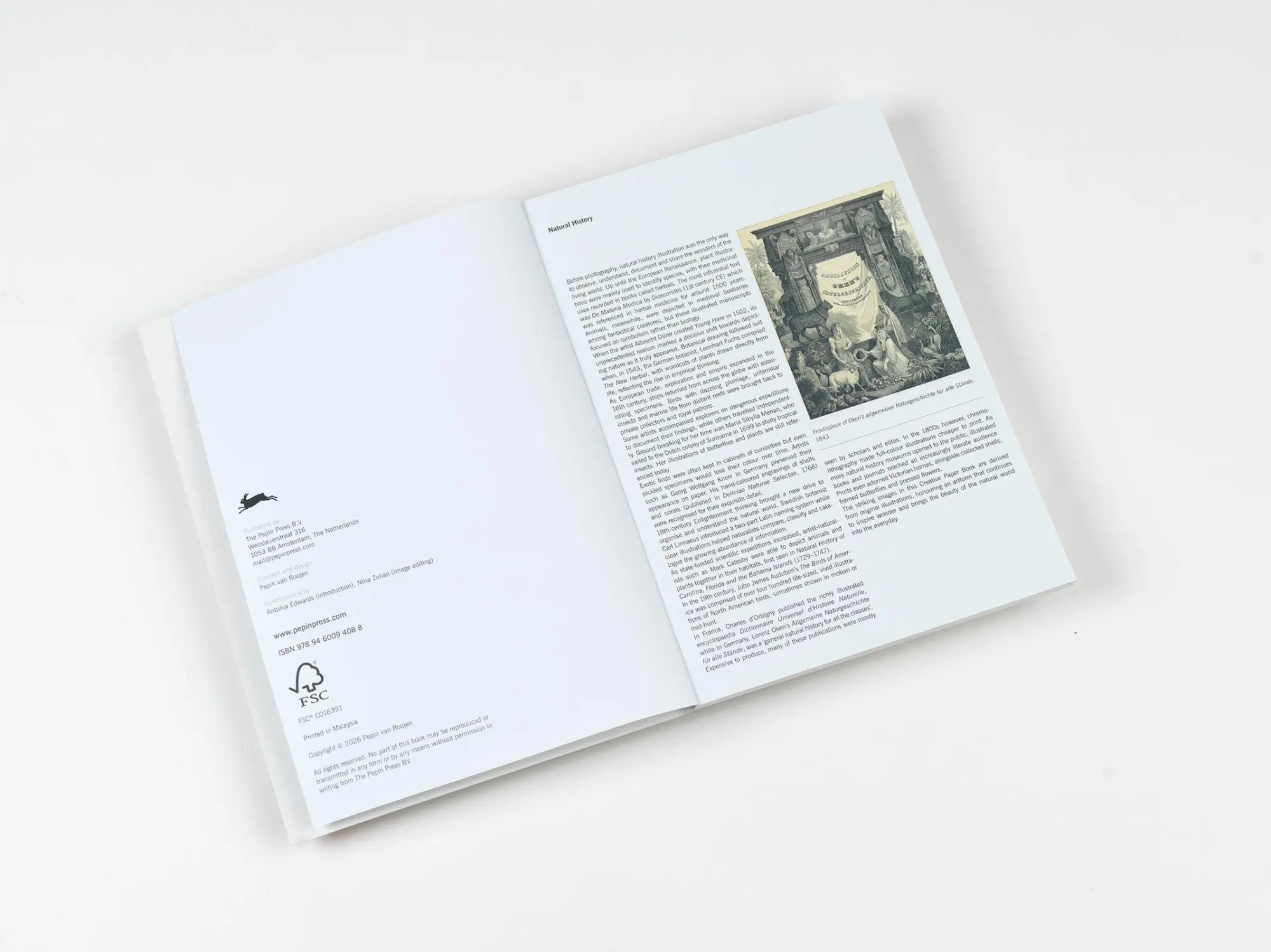 Bild: 9789460094088 | Natural History | Creative Paper Book | Pepin Van Roojen | Taschenbuch