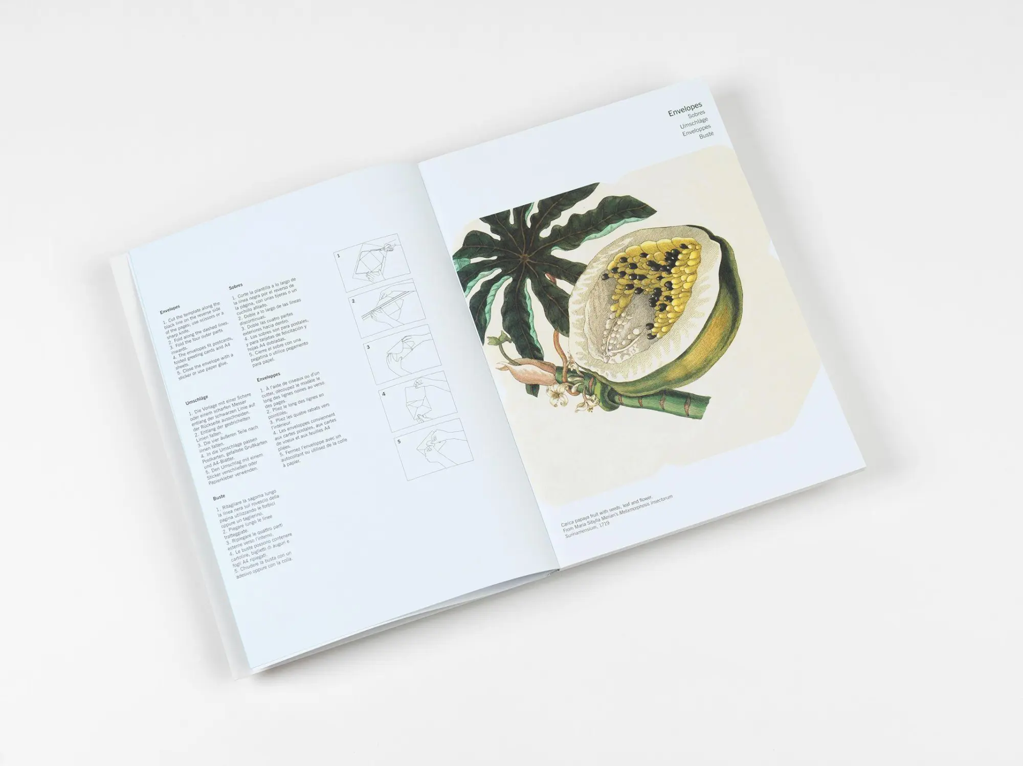 Bild: 9789460094088 | Natural History | Creative Paper Book | Pepin Van Roojen | Taschenbuch