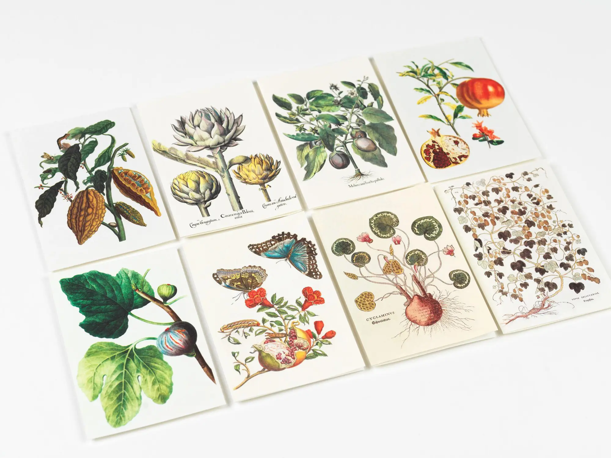 Bild: 9789460094088 | Natural History | Creative Paper Book | Pepin Van Roojen | Taschenbuch