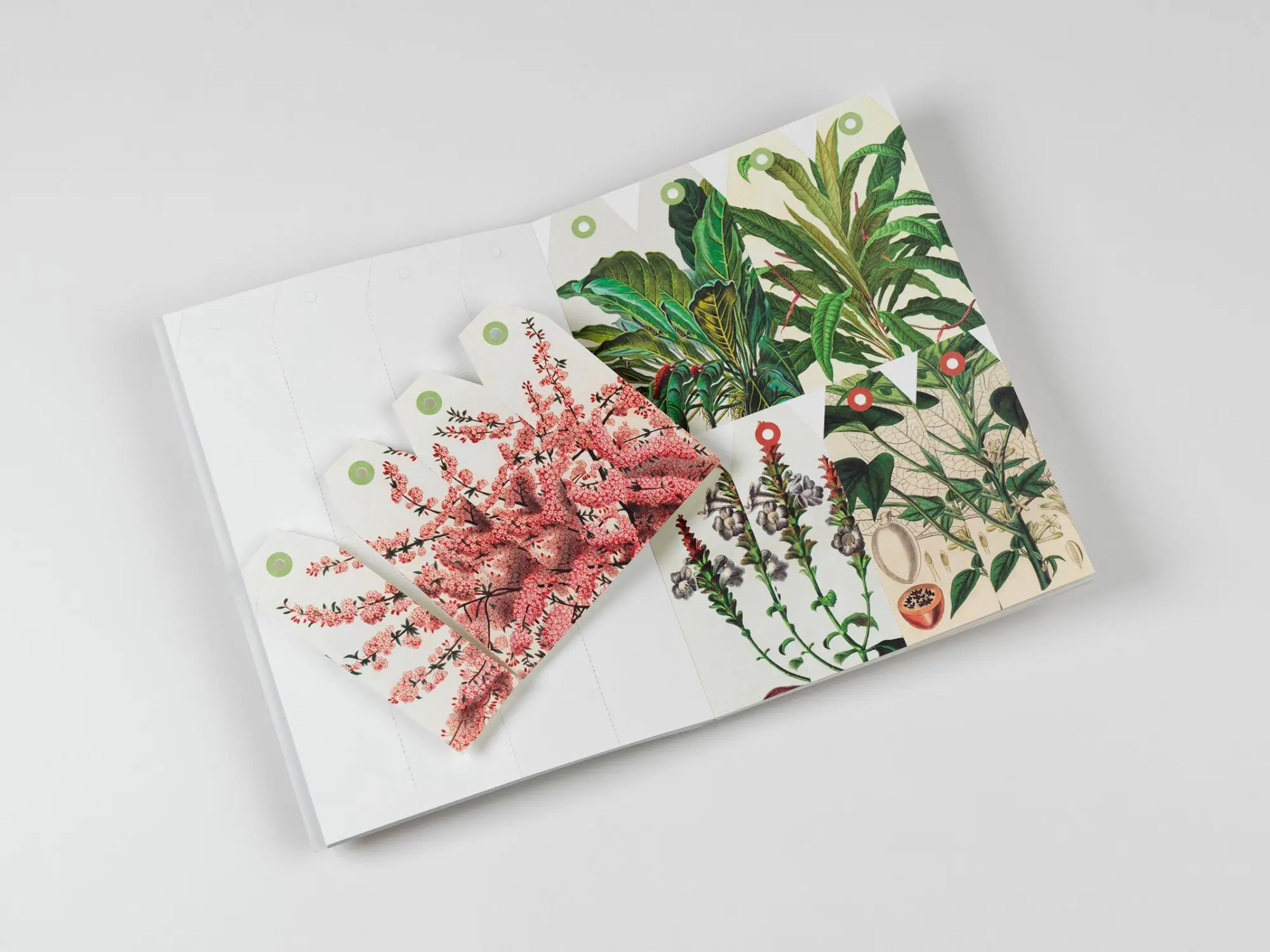 Bild: 9789460094088 | Natural History | Creative Paper Book | Pepin Van Roojen | Taschenbuch