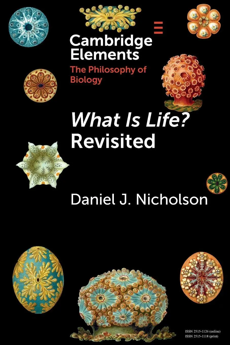 Cover: 9781009124188 | What Is Life? Revisited | Daniel J. Nicholson | Taschenbuch | Englisch