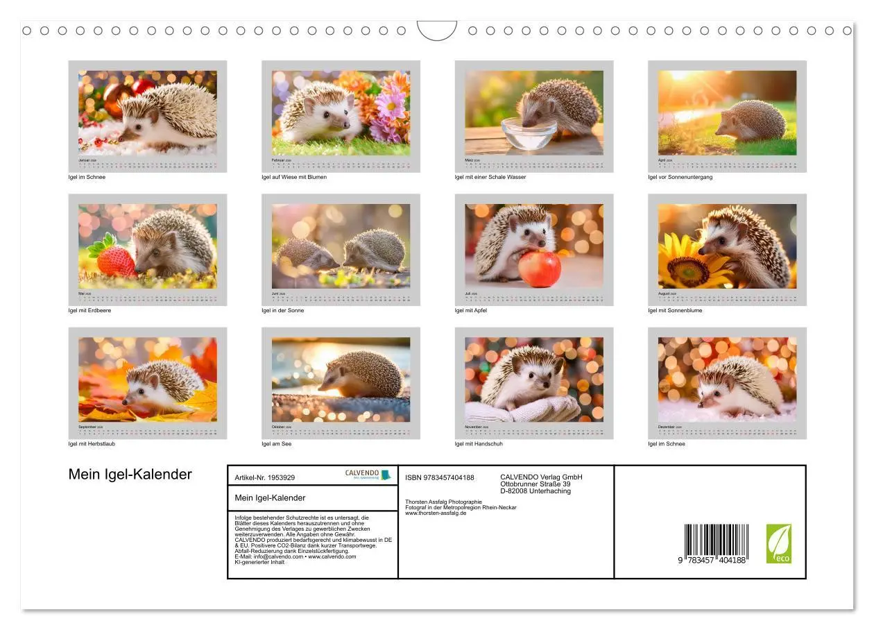 Bild: 9783457404188 | Mein Igel-Kalender (Wandkalender 2026 DIN A3 quer), CALVENDO...