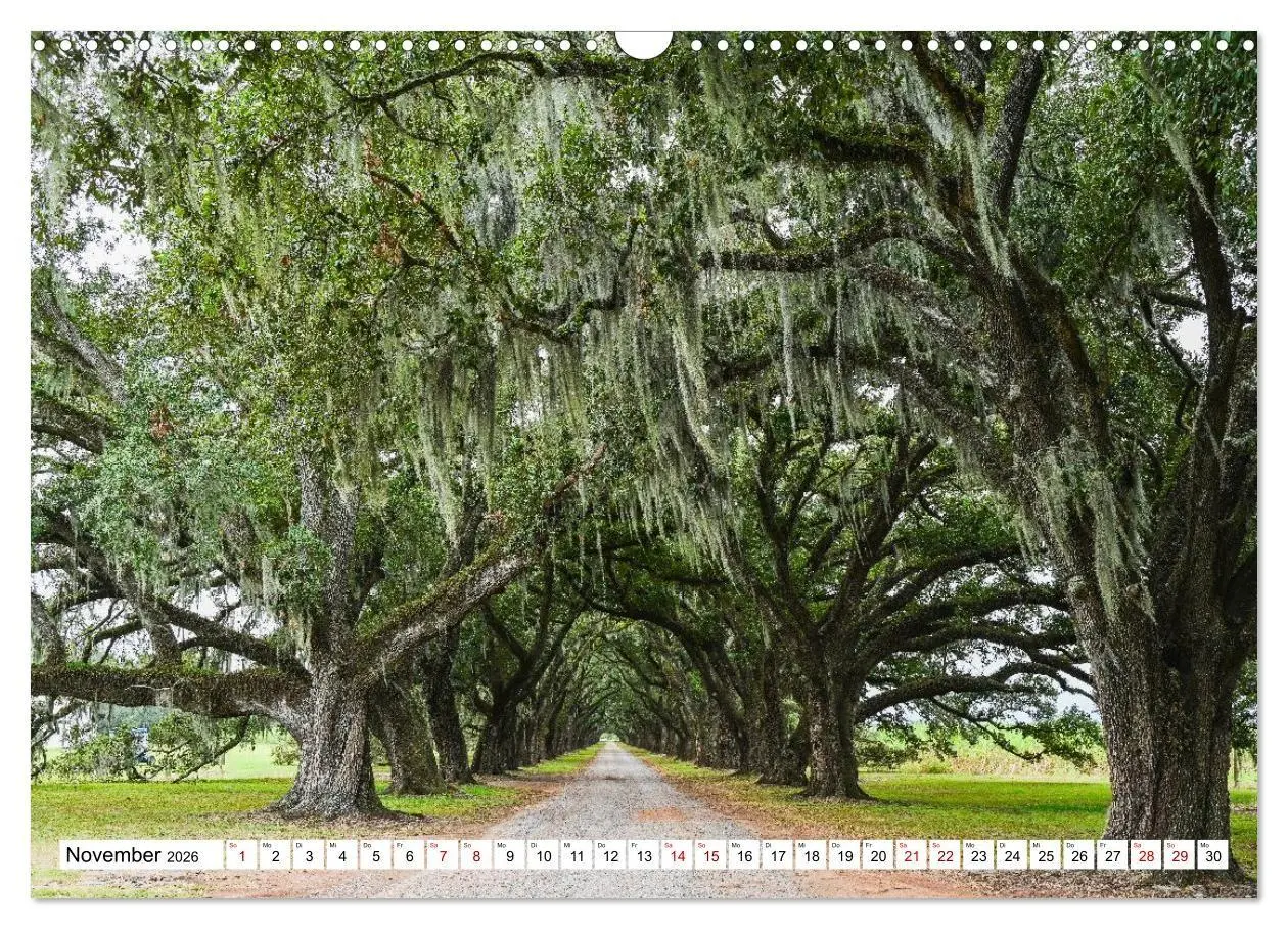 Bild: 9783516734188 | Louisiana - Sümpfe und Plantagenhäuser (Wandkalender 2026 DIN A3...