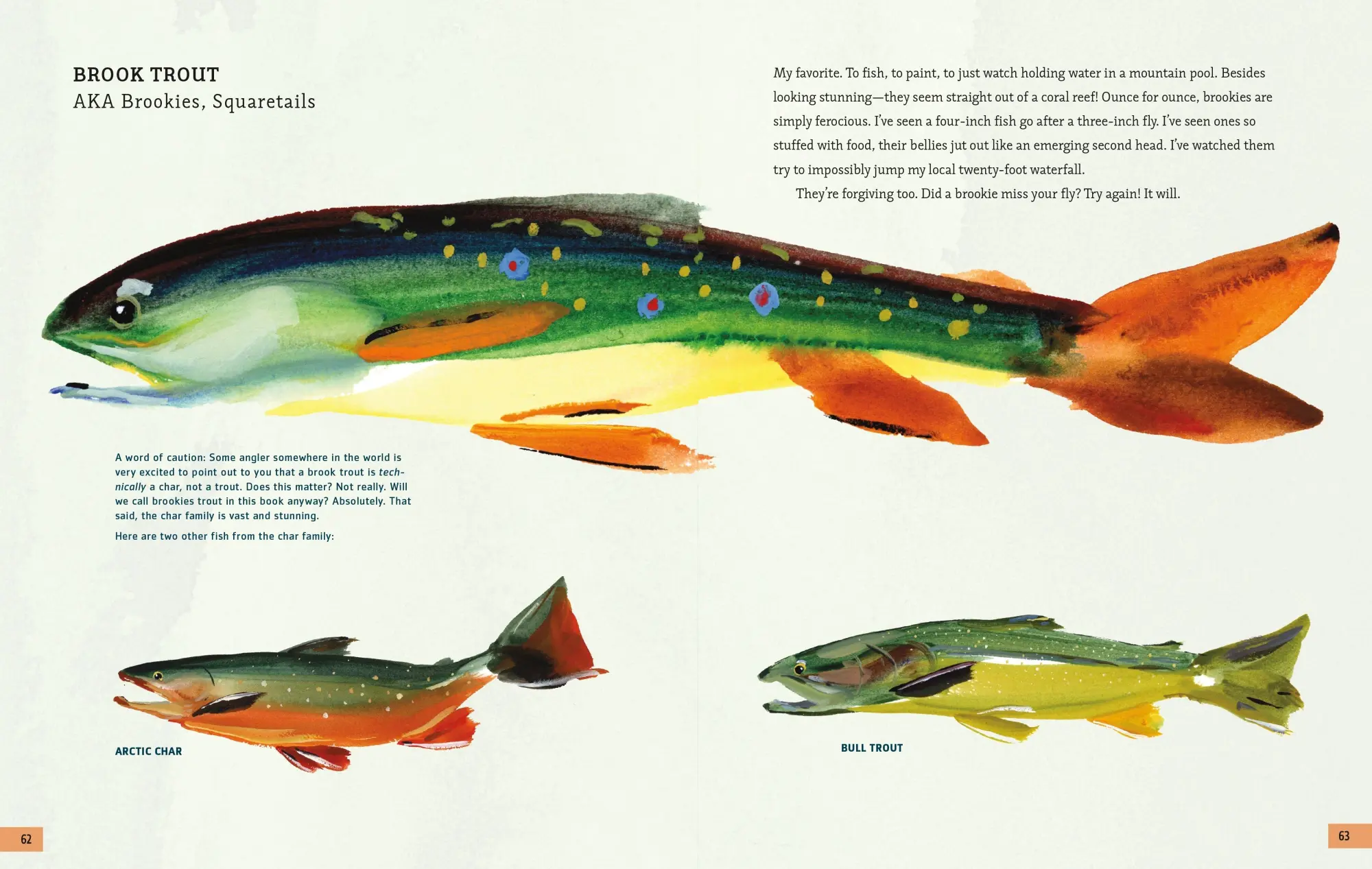 Bild: 9781250364388 | The Fly Fishing Book | An Artful Guide to Angling | Steven Weinberg