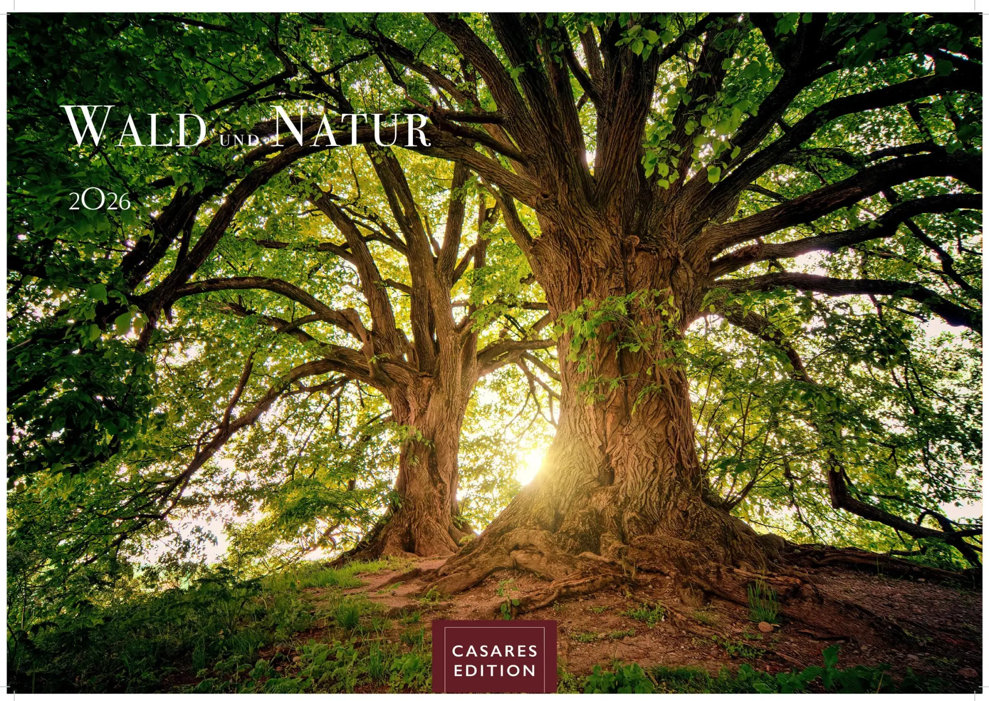 Cover: 9781835244388 | Wald &amp; Natur Kalender 2026 Großformat 35x50cm - Natürliche...