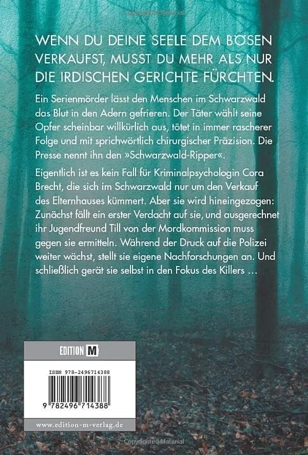 Rückseite: 9782496714388 | Steinkalt | Isa Klink | Taschenbuch | 350 S. | Deutsch | 2023