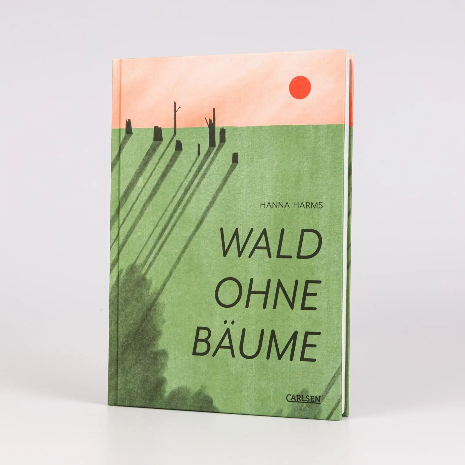 Bild: 9783551804488 | Wald ohne Bäume | Hanna Harms | Buch | 192 S. | Deutsch | 2026