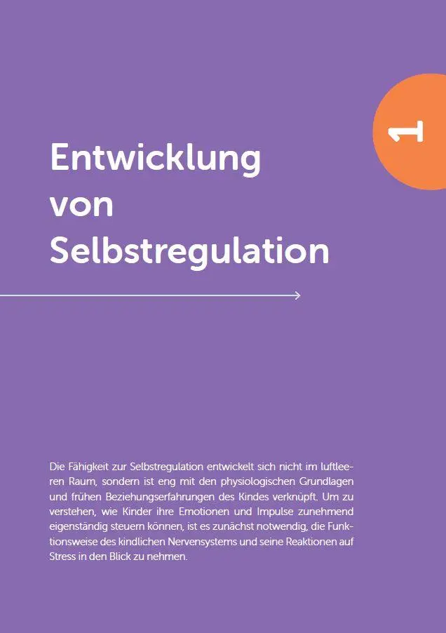 Bild: 9783960464488 | Selbst- und Co-Regulation verstehen und anwenden | Ineke Eilers | Buch