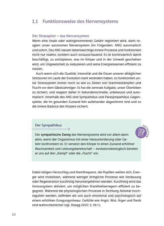 Bild: 9783960464488 | Selbst- und Co-Regulation verstehen und anwenden | Ineke Eilers | Buch