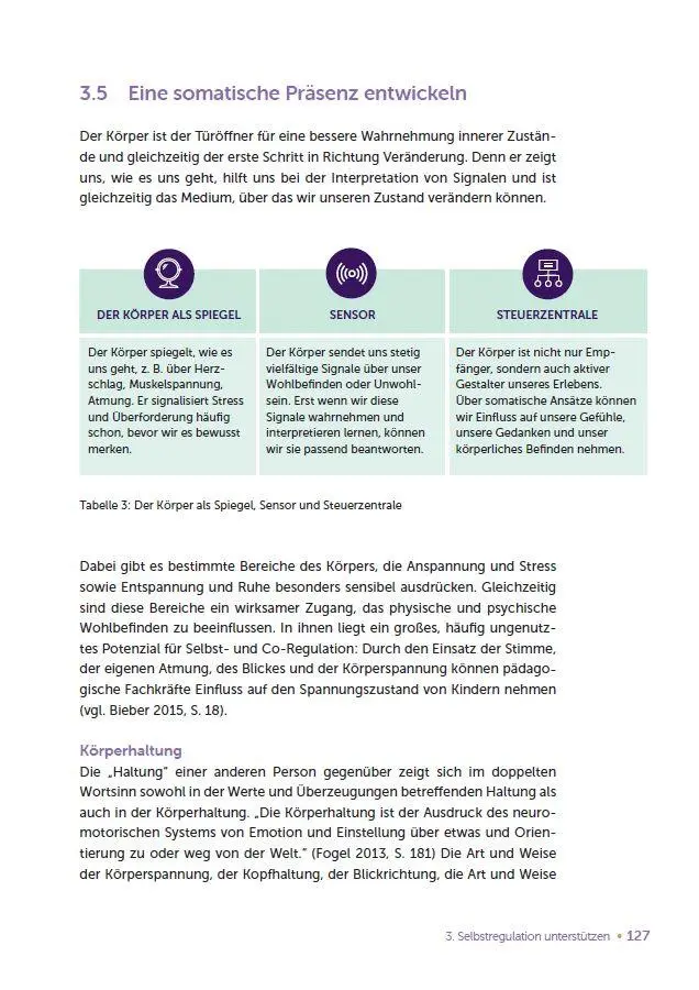 Bild: 9783960464488 | Selbst- und Co-Regulation verstehen und anwenden | Ineke Eilers | Buch
