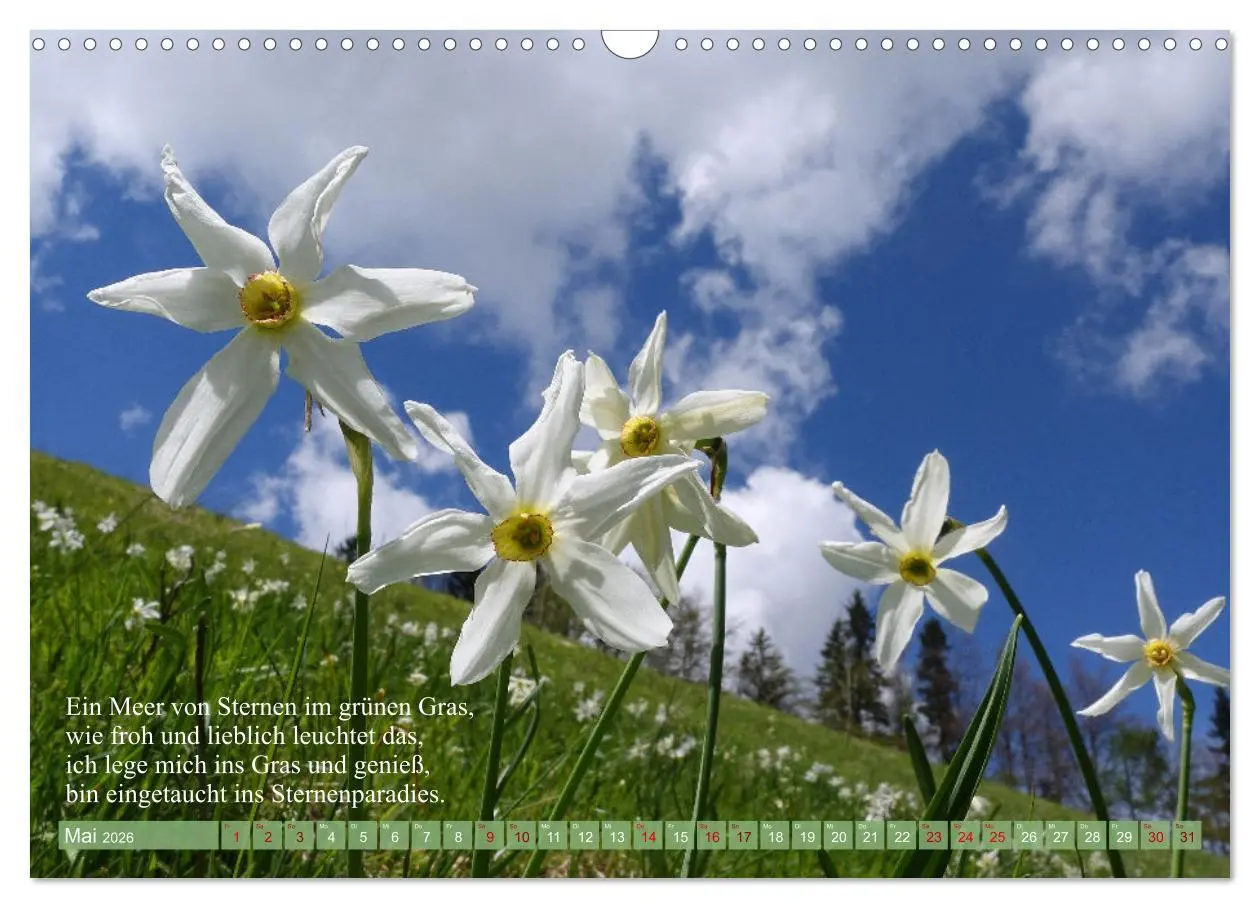 Bild: 9783457534588 | Naturschönheiten und Poesie in Kärnten und Umgebung (Wandkalender...