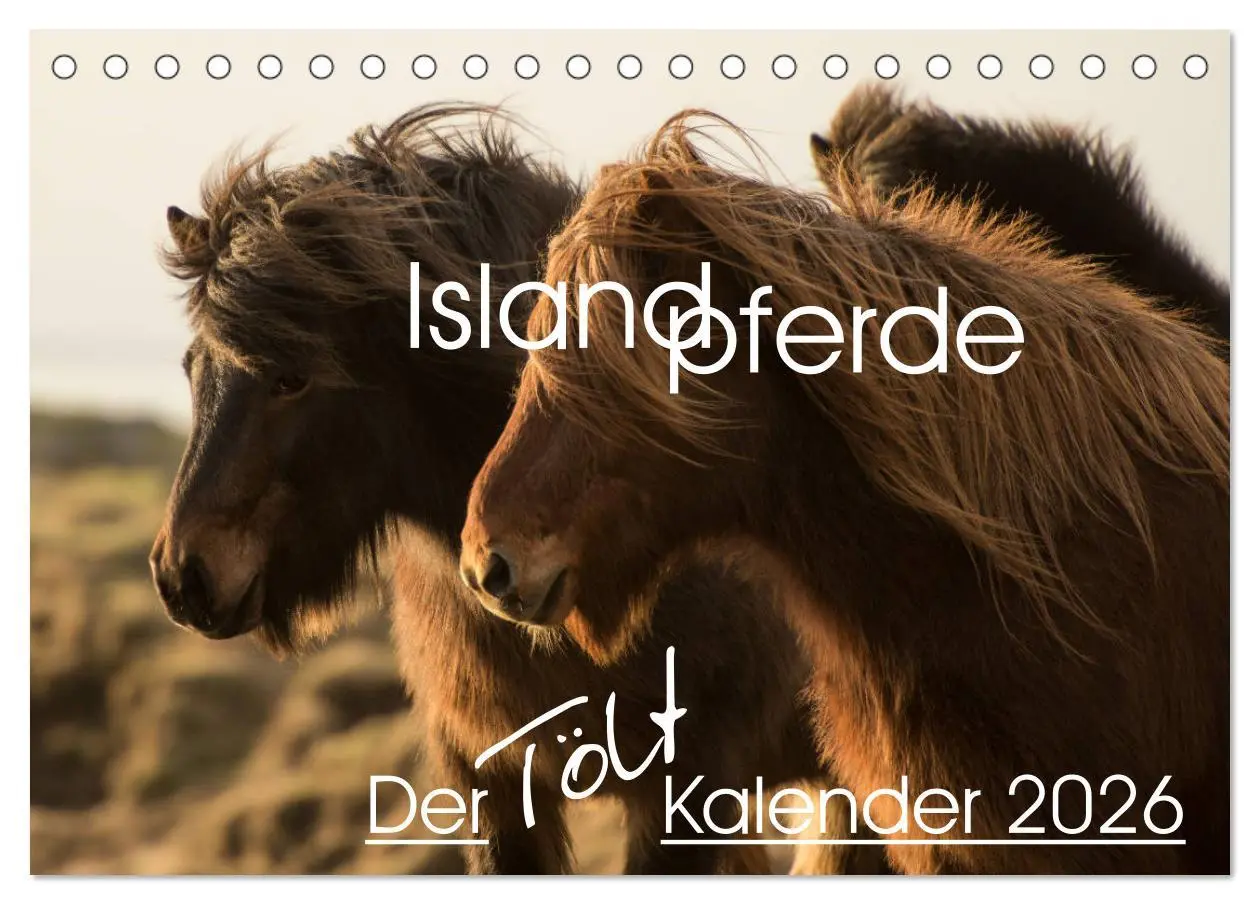 Cover: 9783457834688 | Islandpferde - Der Tölt Kalender (Tischkalender 2026 DIN A5 quer),...