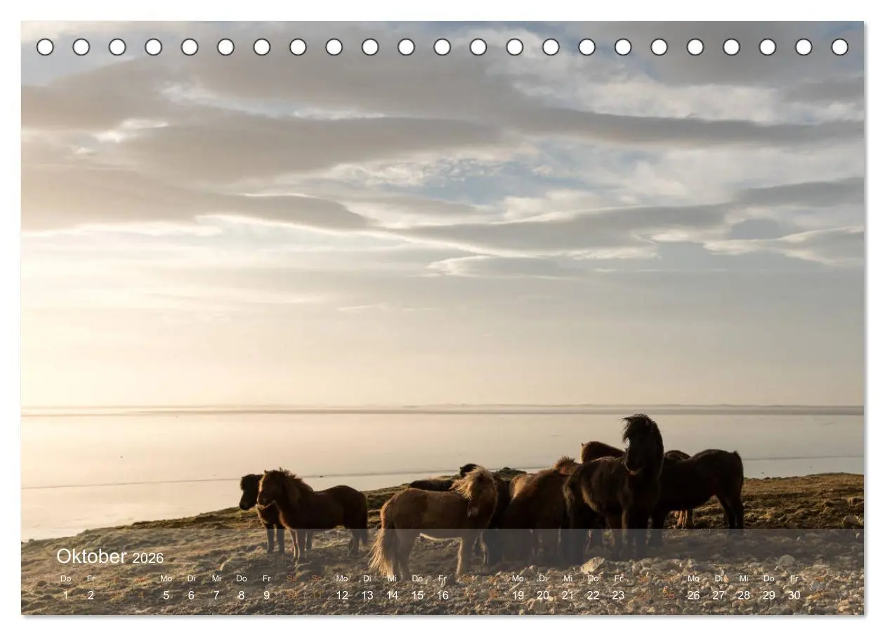 Bild: 9783457834688 | Islandpferde - Der Tölt Kalender (Tischkalender 2026 DIN A5 quer),...