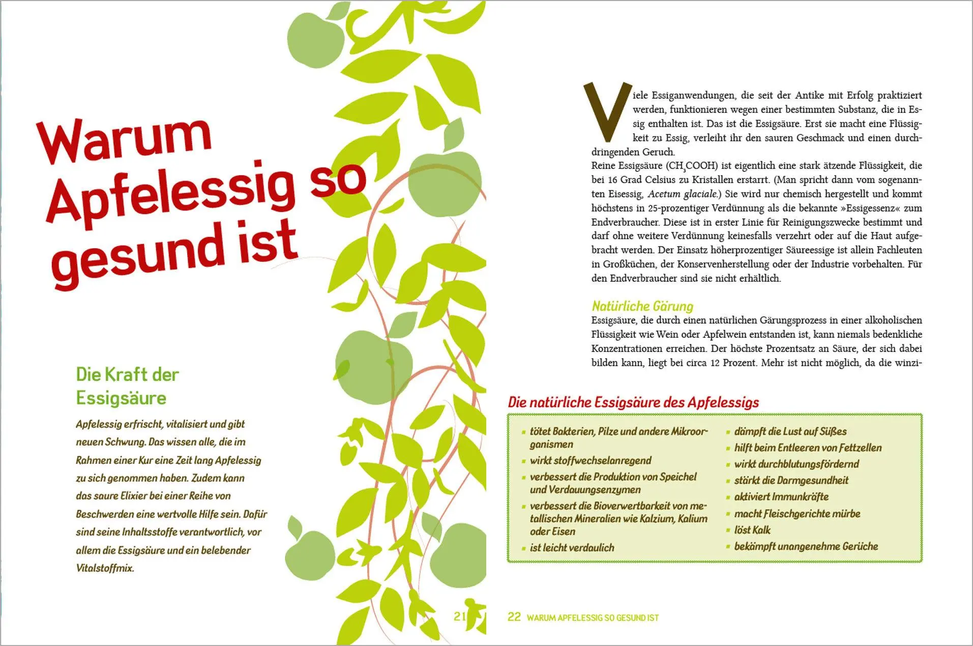 Bild: 9783809444688 | Naturwunder Apfelessig: Über 200 Rezepte für Gesundheit, Schönheit,...