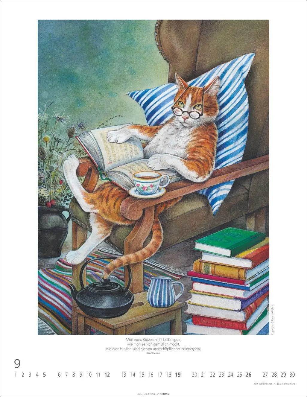 Bild: 9783839904688 | Schnurren und Kratzen - Bilder von Katzen Kalender 2027 | Michl | 2027
