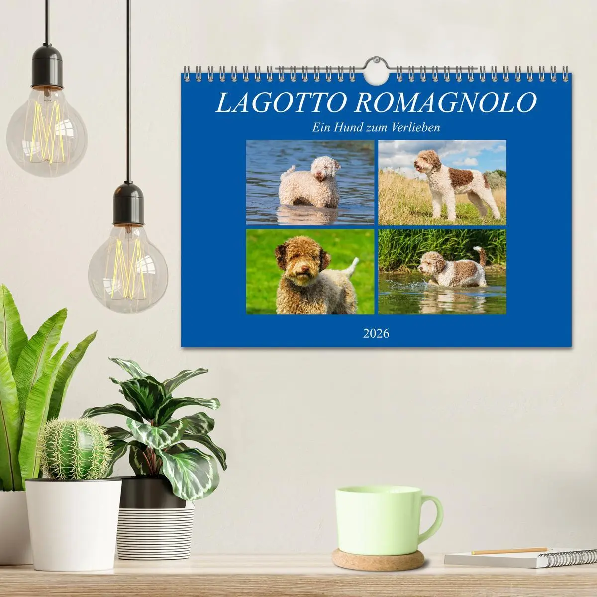 Bild: 9783457824788 | Lagotto Romagnolo - Ein Hund zum Verlieben (Wandkalender 2026 DIN...