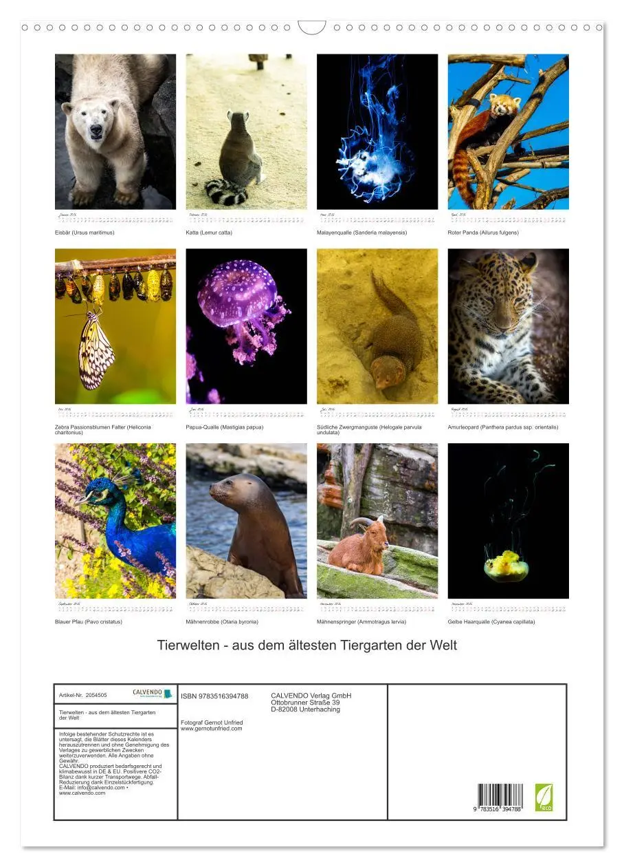 Bild: 9783516394788 | Tierwelten - aus dem ältesten Tiergarten der Welt (Wandkalender...