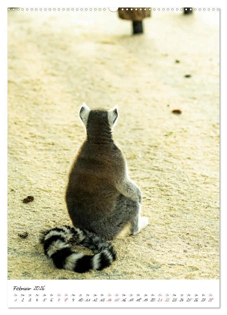 Bild: 9783516394788 | Tierwelten - aus dem ältesten Tiergarten der Welt (Wandkalender...