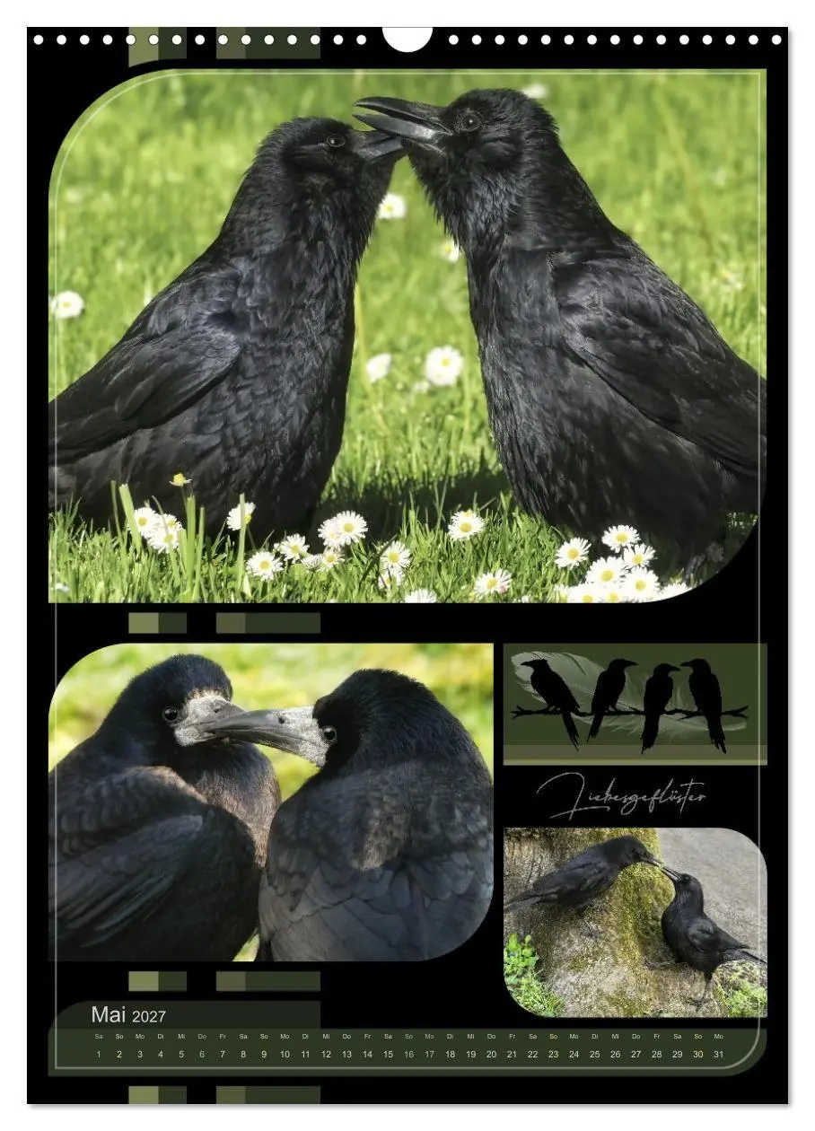 Bild: 9783569004788 | Krähen - Im Wandel der Jahreszeiten (Wandkalender 2027 DIN A3...