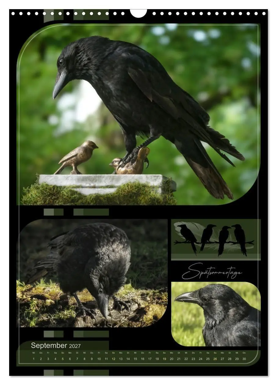 Bild: 9783569004788 | Krähen - Im Wandel der Jahreszeiten (Wandkalender 2027 DIN A3...