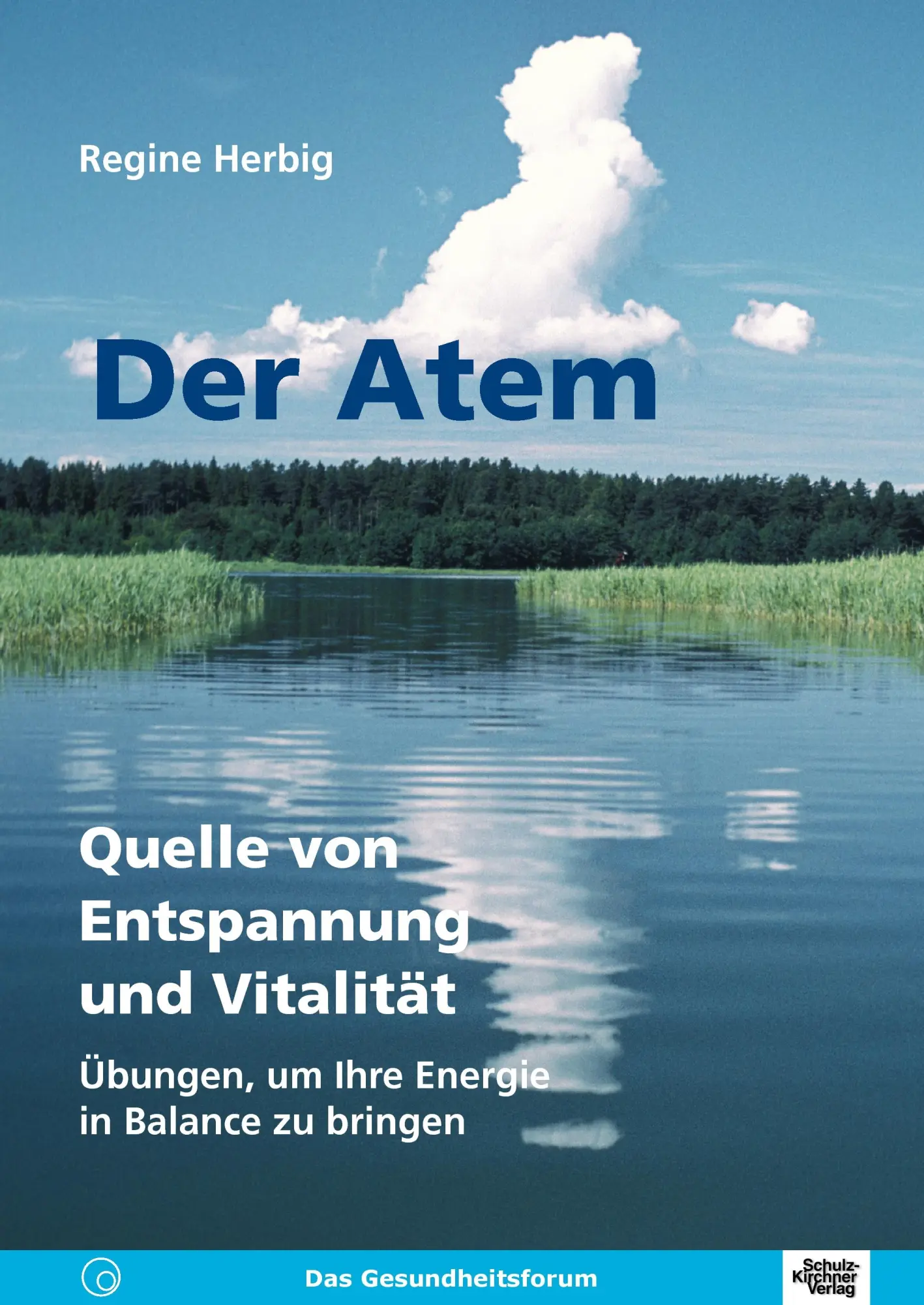 Cover: 9783824804788 | Der Atem | Regine Herbig | Taschenbuch | 204 S. | Deutsch | 2014