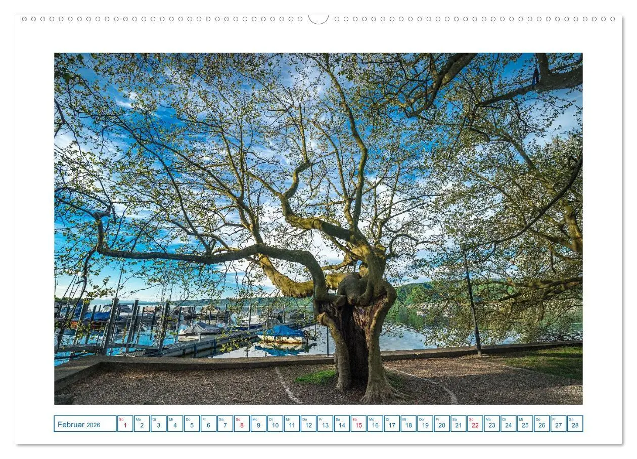 Bild: 9783457294888 | Ludwigshafen am Bodensee (hochwertiger Premium Wandkalender 2026...