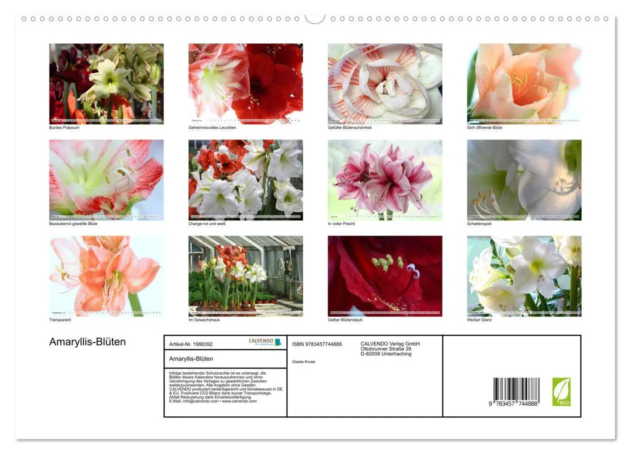 Bild: 9783457744888 | Amaryllis-Blüten (hochwertiger Premium Wandkalender 2026 DIN A2...