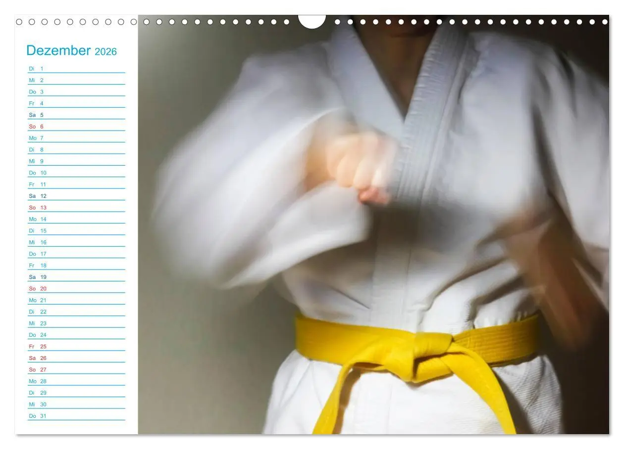 Bild: 9783457984888 | Kampfsport (Wandkalender 2026 DIN A3 quer), CALVENDO Monatskalender