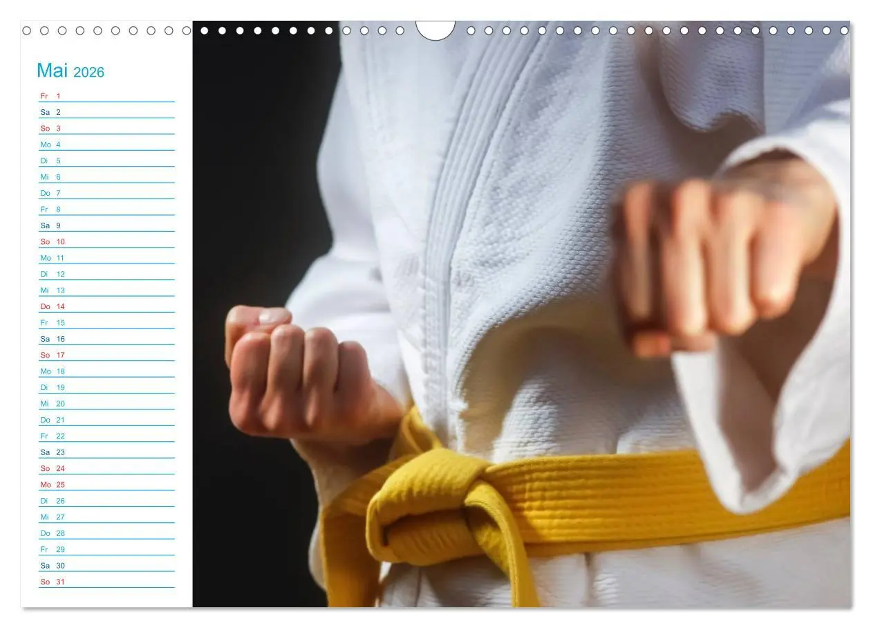 Bild: 9783457984888 | Kampfsport (Wandkalender 2026 DIN A3 quer), CALVENDO Monatskalender
