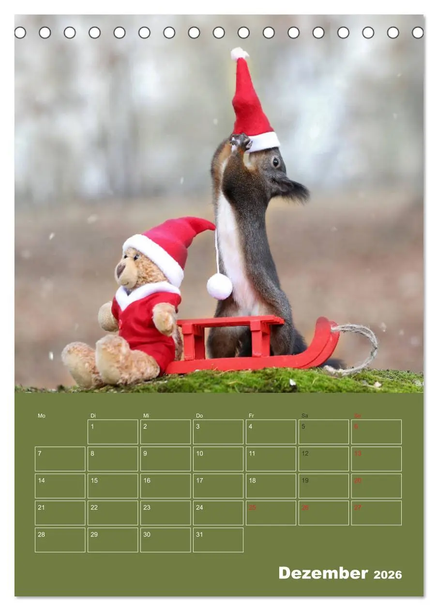 Bild: 9783516384888 | Eichhörnchen - Abenteuer mit Freund Teddy (Tischkalender 2026 DIN...
