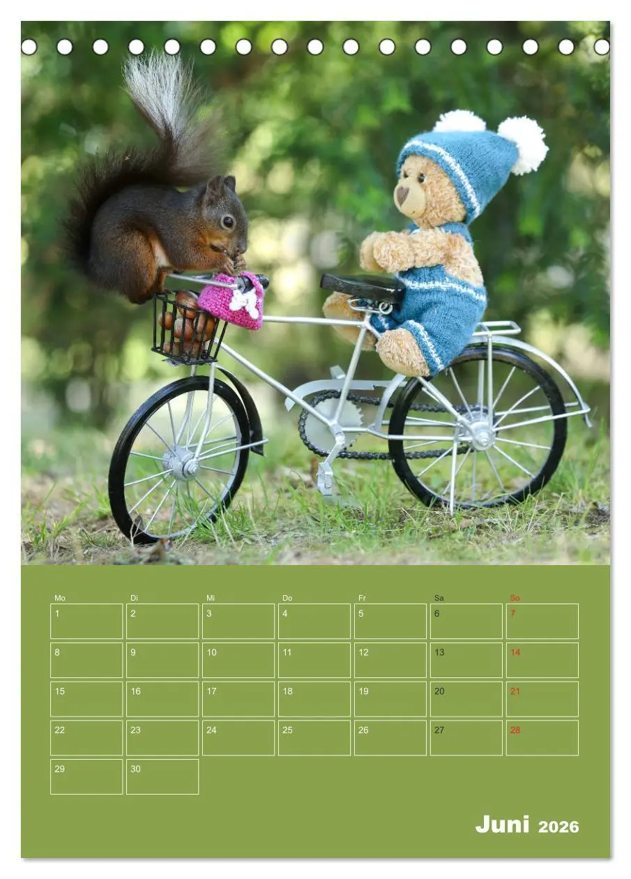 Bild: 9783516384888 | Eichhörnchen - Abenteuer mit Freund Teddy (Tischkalender 2026 DIN...