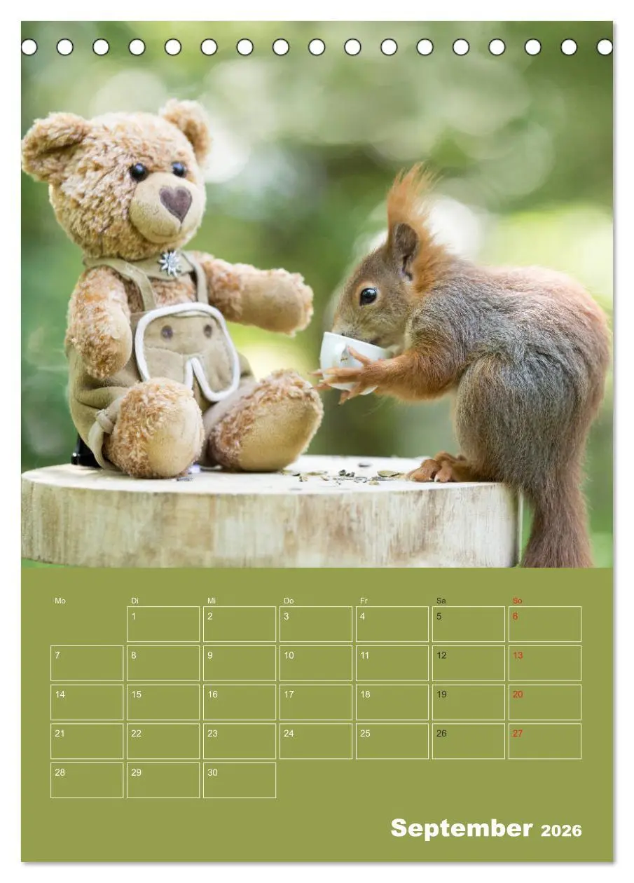 Bild: 9783516384888 | Eichhörnchen - Abenteuer mit Freund Teddy (Tischkalender 2026 DIN...