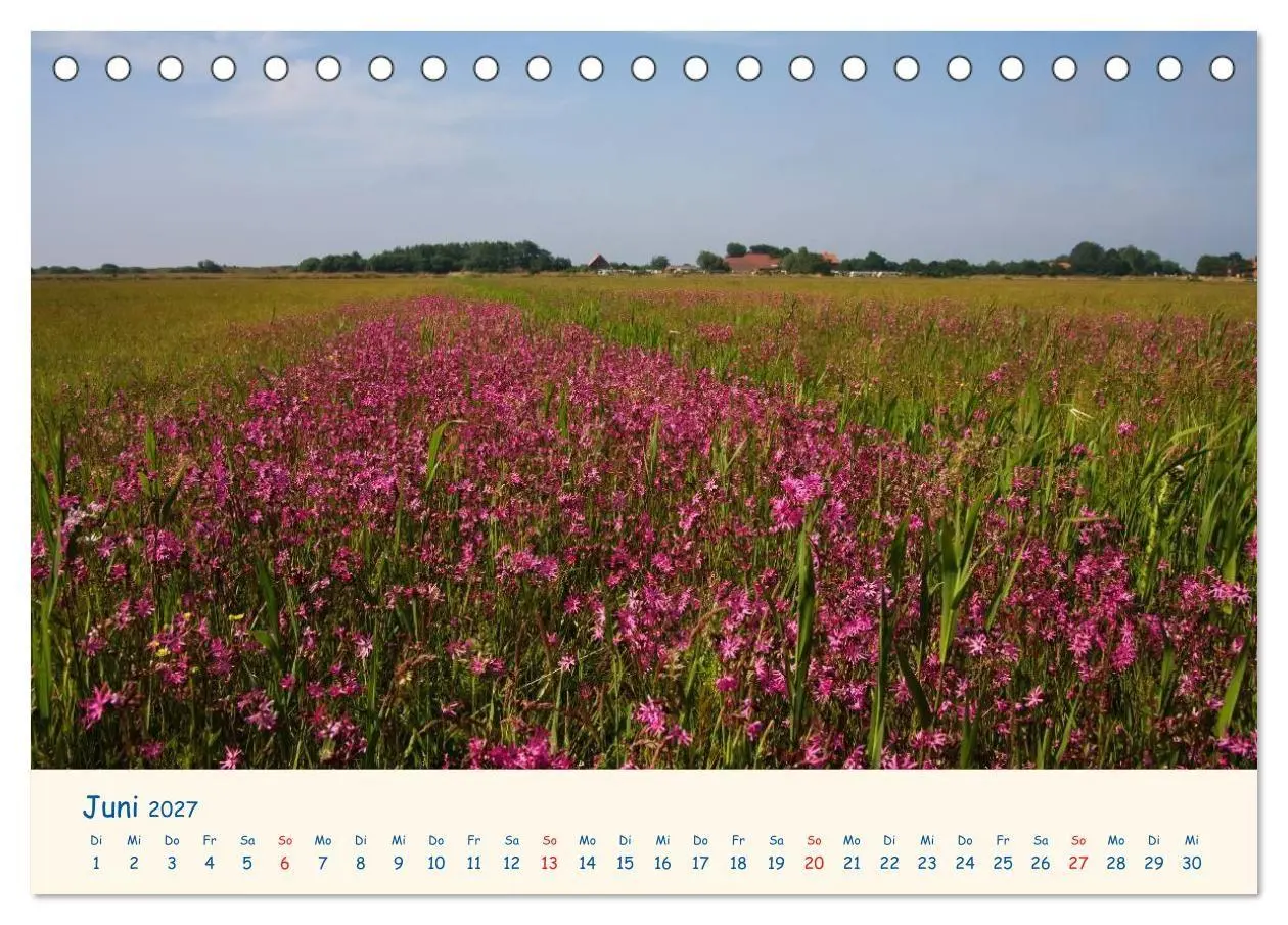 Bild: 9783594124888 | Urlaub auf Borkum (Tischkalender 2027 DIN A5 quer), CALVENDO...