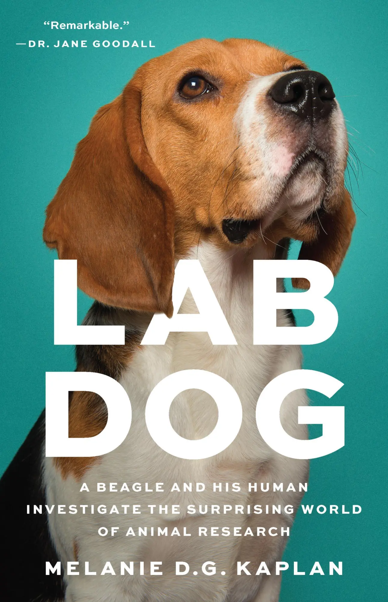 Cover: 9781541604988 | Lab Dog | Melanie D G Kaplan | Buch | Englisch | 2025 | Basic Books