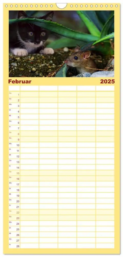 Bild: 9783457114988 | Familienplaner 2025 - Mausige Zeiten! Putzige Gesellen mit...