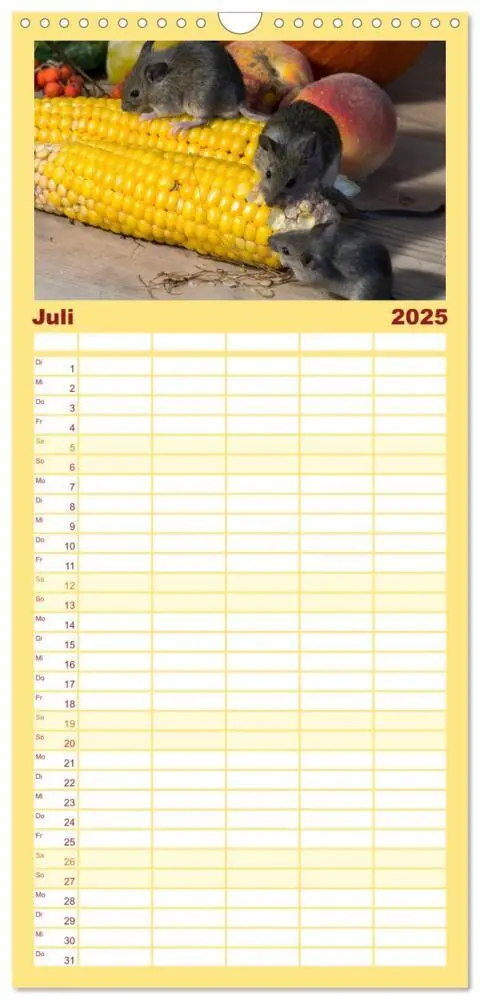 Bild: 9783457114988 | Familienplaner 2025 - Mausige Zeiten! Putzige Gesellen mit...
