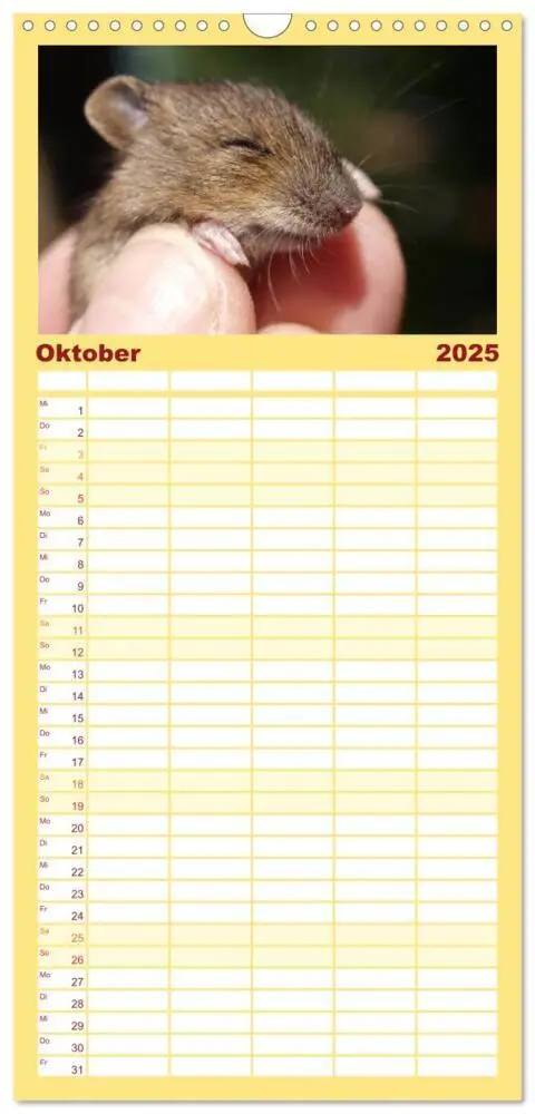 Bild: 9783457114988 | Familienplaner 2025 - Mausige Zeiten! Putzige Gesellen mit...