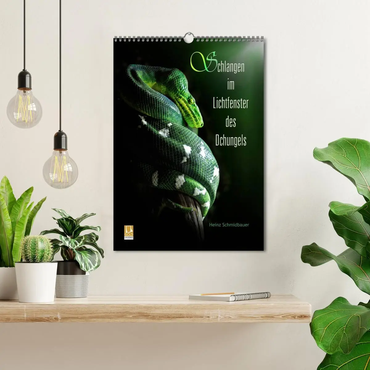 Bild: 9783516444988 | Schlangen im Lichtfenster des Dschungels (Wandkalender 2026 DIN A3...