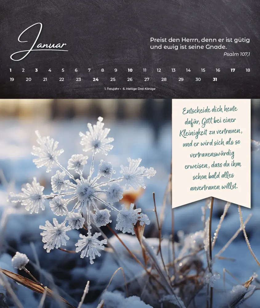 Bild: 9783963624988 | Oasenzeiten 2027 | Aufstellkalender | Lynn Austin | Kalender | 14 S.
