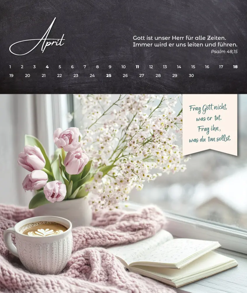 Bild: 9783963624988 | Oasenzeiten 2027 | Aufstellkalender | Lynn Austin | Kalender | 14 S.